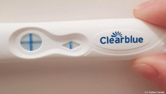 Test de grossesse positif clearblue