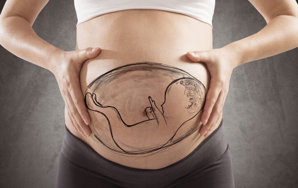 Comment comprendre le poids moyen d'un bébé à 5 mois de grossesse