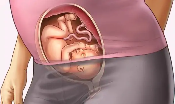 Comment surveiller le poids de votre bébé lors de la grossesse : Conseils pratiques pour les futures mamans